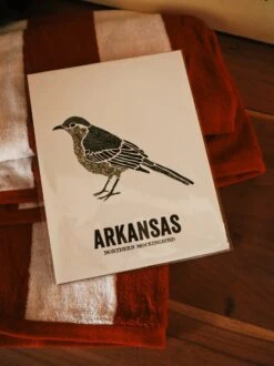 Northern Mockingbird Art Print - 8.5x11