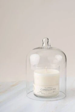 Glass Cloche -Home Goods Store 4190401cf1ce83bdbfb3729c061791d52fcb79ac669b4dd0c524689222044e4c