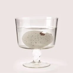 Mystery Growing Dino In Egg -Home Goods Store 42821 20 3