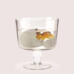 Mystery Growing Dino In Egg -Home Goods Store 42821 20 4