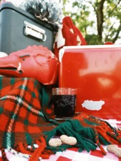 Arkansas Razorbacks Rocks Glass