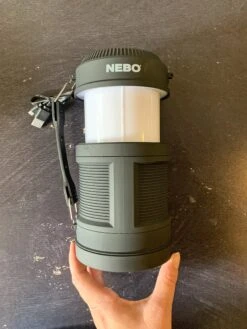 Nebo: Big Poppy -Home Goods Store 71BA3790 C0BF 4780 BDEB 497C2B57AD73