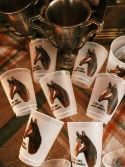 I Do My Own Stunts Reusable Cups