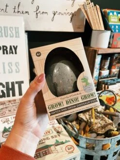 Mystery Growing Dino In Egg