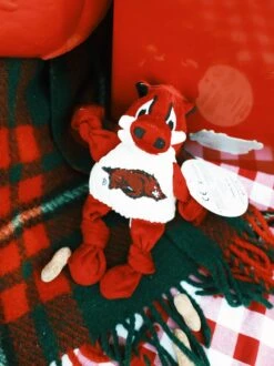 Arkansas Tusk The Razorback Knottie™ Dog Toy - Small