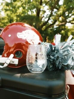 Fayetteville AR Map Stemless Wine Glass