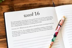 Duncan & Stone: Dear Baby 22 Duncan & Stone: Dear Baby -Home Goods Store DSC 8037 1024x1024 2x 70d52a59 f089 4161 8dd8 305d03d4d194