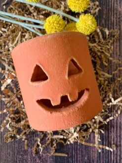Mini Clay Jack-O-Lantern (PICK UP ONLY) -Home Goods Store E5354383 A5BF 4DBB 8861 D6D4AB4EFB3B