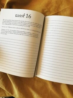 Duncan & Stone: Dear Baby 17 Duncan & Stone: Dear Baby -Home Goods Store IMG 1623