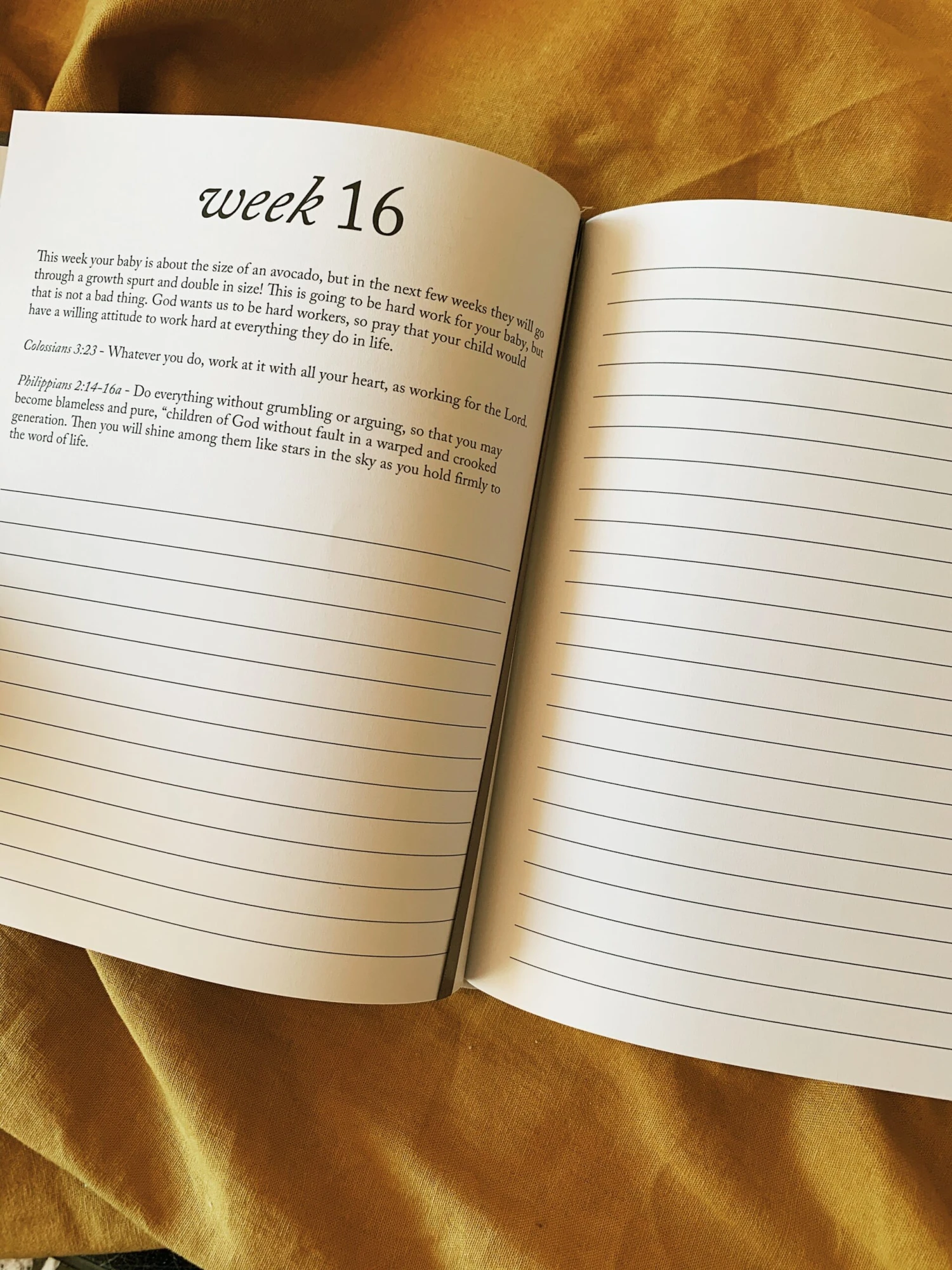 Duncan & Stone: Dear Baby 4 Duncan & Stone: Dear Baby - Image 4