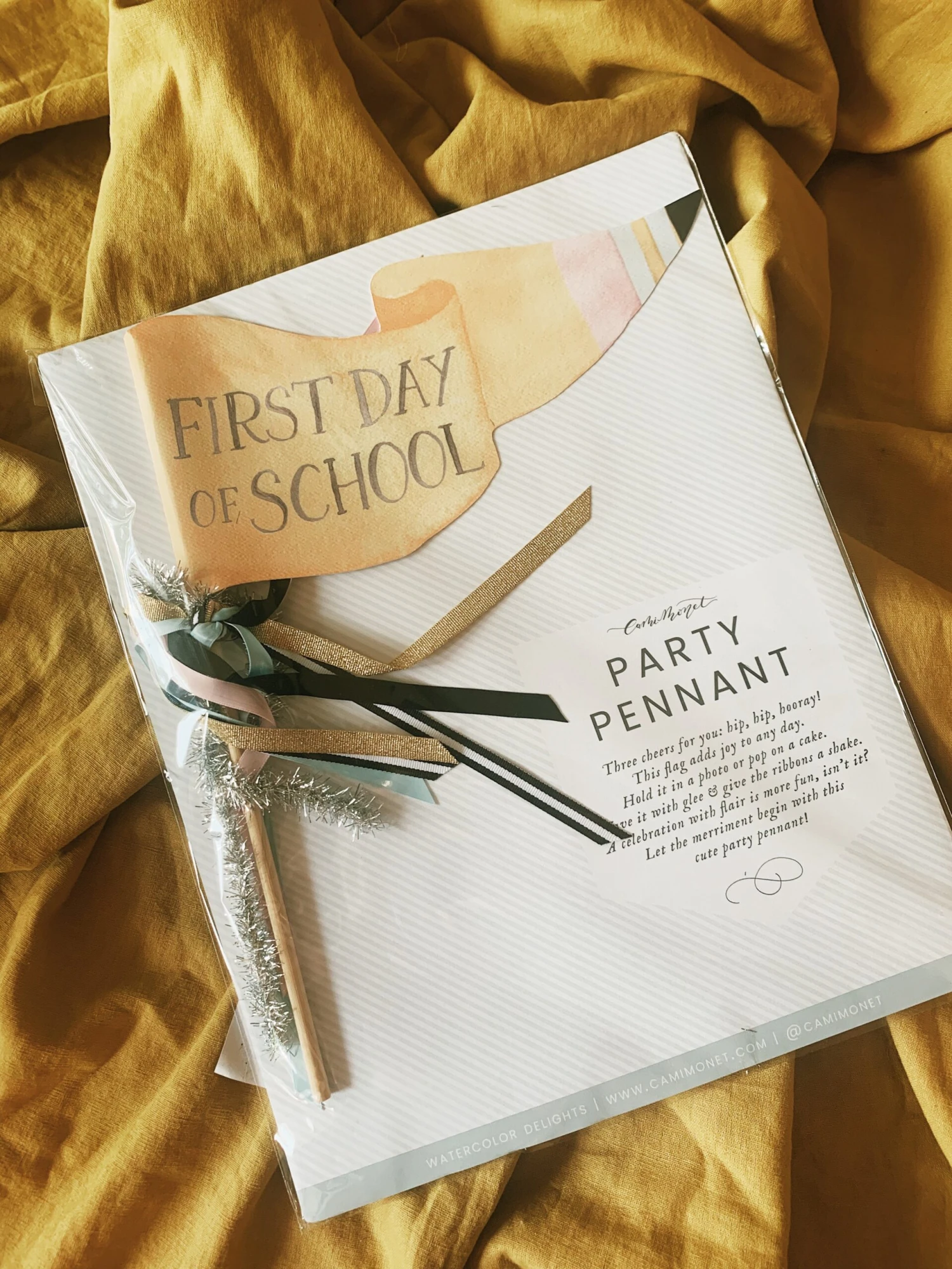 First Day Of School Party Pennant 3 First Day Of School Party Pennant - Image 3