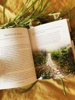 Harper Collins Devotions From The Garden -Home Goods Store IMG 3228