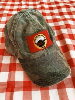 Fayetteville Flag Hat - Camo -Home Goods Store IMG 3525