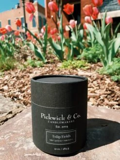 Pickwick & Co: Tulip Fields Candle -Home Goods Store IMG 3902