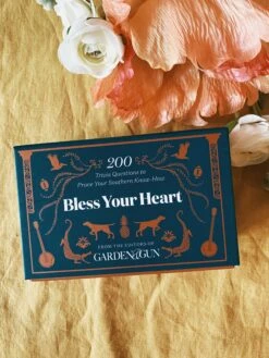 Bless Your Heart Trivia Game -Home Goods Store IMG 4351