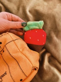 Woof Clicquot Pawty Set -Home Goods Store IMG 6380