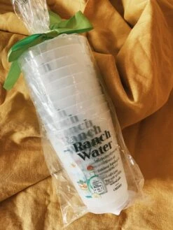 Ranch Water Recipe Reusable Cups - Pack Of 10 -Home Goods Store IMG 8702
