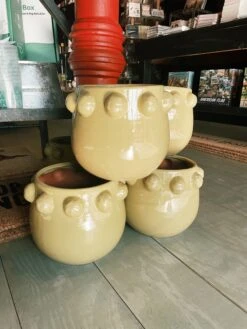 Chartruese Terracotta Planter With Raised Dots - PICKUP ONLY