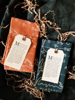 Mollyjogger: Ozark 1900 Bandana -Home Goods Store IMG 9485