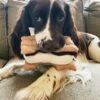 S'more Dog Toy