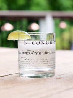Declaration Of Independence Rocks Glass -Home Goods Store WethePeople33