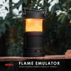 Nebo: Big Poppy -Home Goods Store bigpoppy4