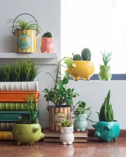 Terra-cotta Pig Planter -Home Goods Store da1058a 4