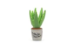 Aloe-ve You Plant Dog Toy -Home Goods Store f50c4ad339dcf47922c47696ae10b4264698aa8b0483774cf7bdbc7e2754188c