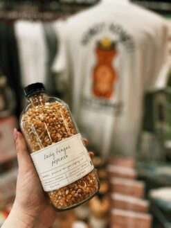 Stone Hollow Farmstead: Lady Finger Popcorn