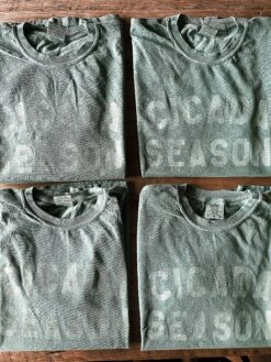 Cicada Season T-Shirt -Home Goods Store image 1387fedb a380 4e75 abff 50a0fc8dce39