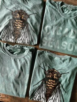 Cicada Season T-Shirt -Home Goods Store image 1be6cde1 92dd 48ec bbd3 b6805a6c514c