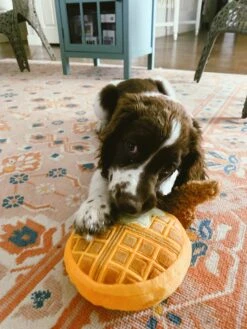 Chicken & Woofles Dog Toy