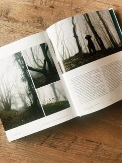 Let's Get Lost -Home Goods Store image 3a975a95 5332 48c2 b4e6 add14604594d