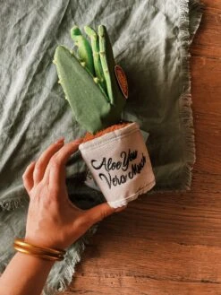 Aloe-ve You Plant Dog Toy