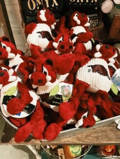 Arkansas Tusk The Razorback Knottie™ Dog Toy - Small -Home Goods Store image 86591901 fe99 4b71 a9cd 12d76183512c