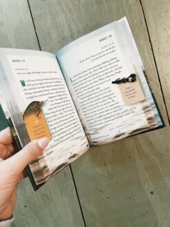 Catch A Better Life -Home Goods Store image 8c7735bf c747 4fa6 bac6 20104467e456