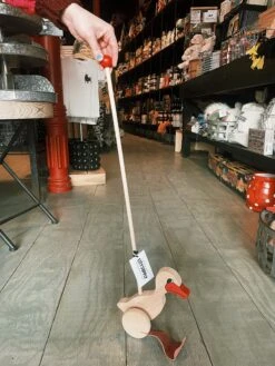 Duck Push Toy -Home Goods Store image a84fdb79 1e59 4935 a072 5fd23493b402