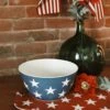 Blue Star Reusable Bamboo Bowl