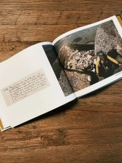 Hiker Trash: Notes, Sketches, And Other Detritus From The Appalachian Trail -Home Goods Store image d2f0e62d 11c7 41ab 9c7f f47c72e1e213