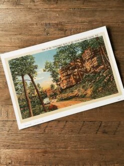 Ozark National Forest Art Print