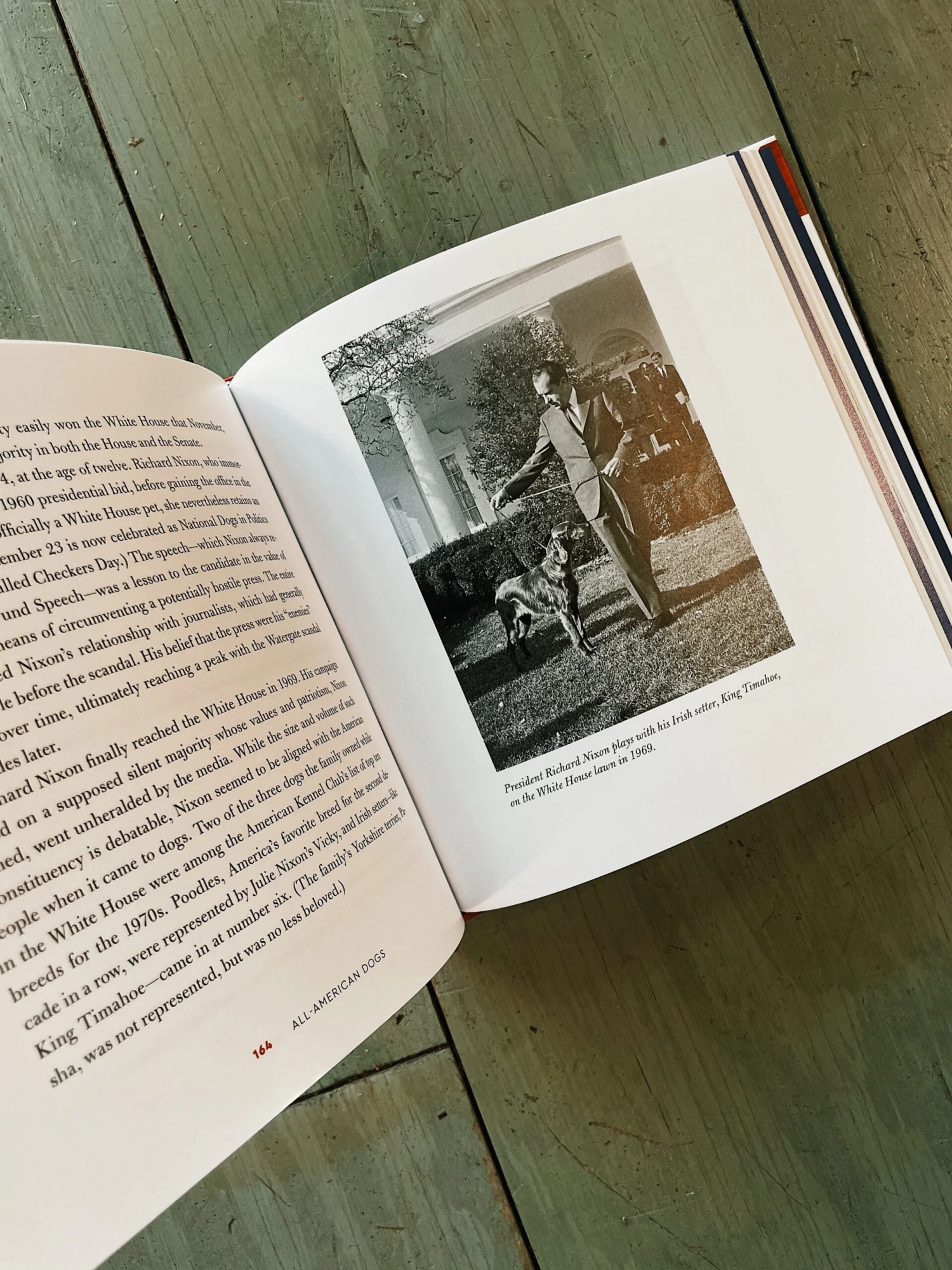 Harper Collins All-American Dogs 4 Harper Collins All-American Dogs - Image 4