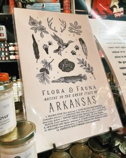 Arkansas Field Guide
