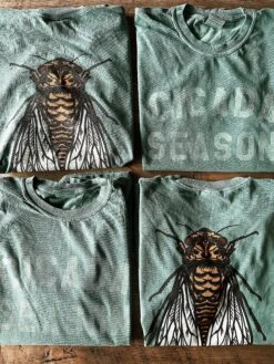 Cicada Season T-Shirt -Home Goods Store image f22af3f7 217b 45c3 8b15 c4a99a8b8f44
